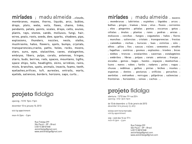 <p>Miríades | Madú Almeida | de 11 de dezembro a 13 de janeiro de 2013</p>

