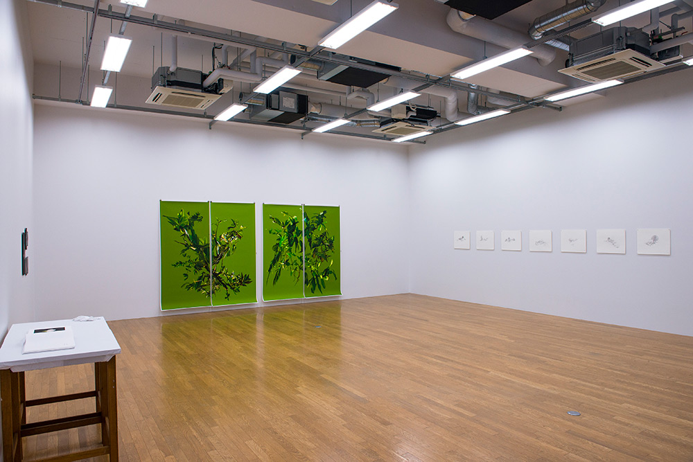 Vista da exposição, FAL - The Fine Art Laboratory Gallery, Universidade de Arte de Musashino, Tóquio, Japão