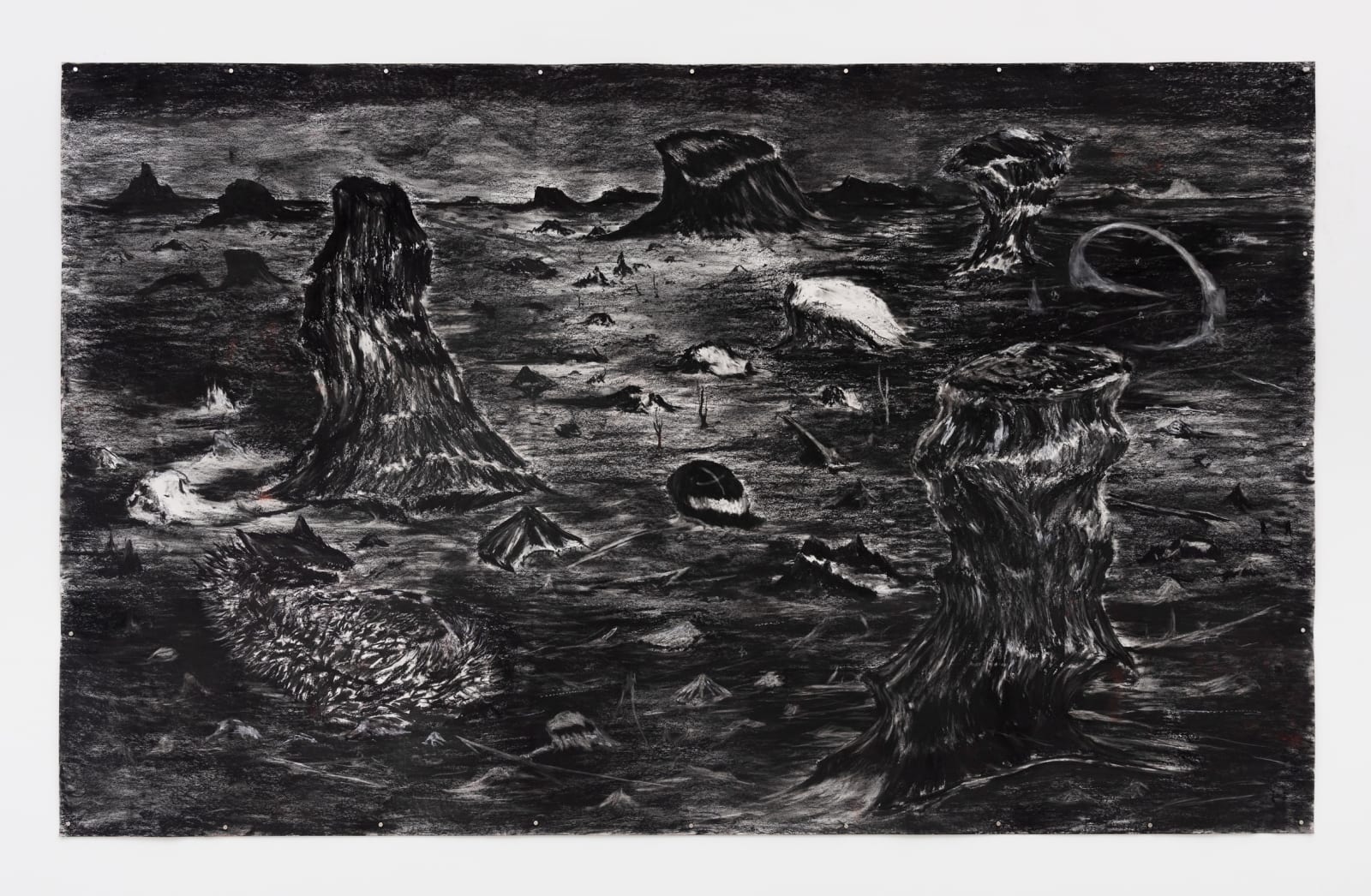 	TRAPO, CARNE, HUESO, 2023

	charcoal on paper

	188 x 300 cm
