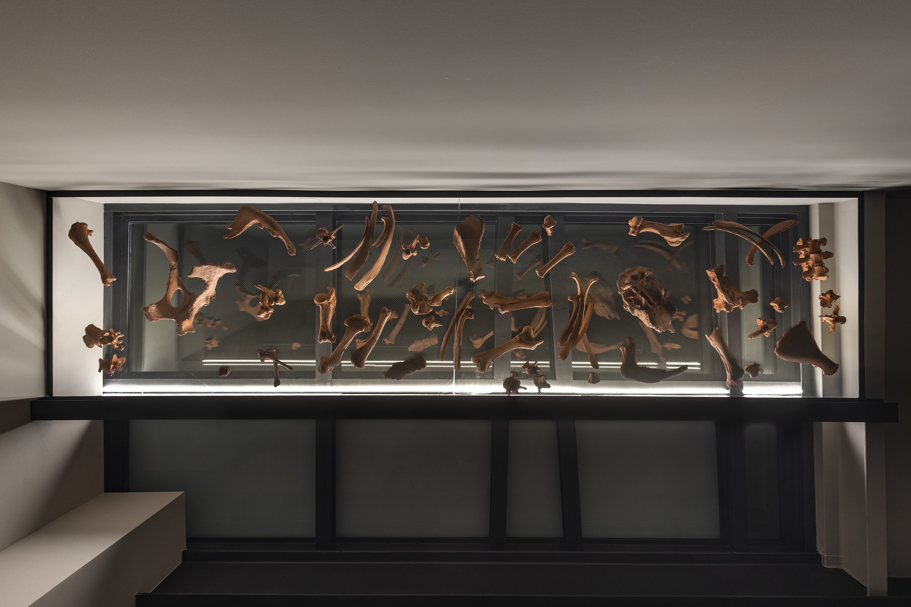 	Henrique Pavão, Ghost Ranch, 2025

	Esqueleto de boi feito com terra do lugar onde foi encontrado (terracota), Marshall DSL - 100HR (amplificador a válvulas), 2 x Marshall MR1960 B (coluna de guitarra), caixa de re-amplificação, som (44 minutos de ar seco amplificado por uma guitarra elétrica afinada em Ré menor aberto, loop)

	Dimensões variáveis

	Vistas da instalaçãoo, “Ghost Ranch”, Rialto6, Lisboa, 2025

	© Bruno Lopes