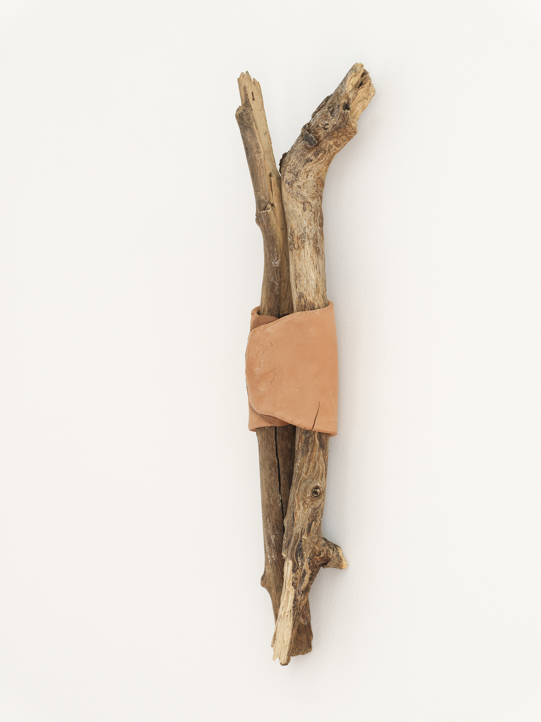 	Pinhal de Leiria #6, 2016/2025

	Madeira e argila autosecante

	50 x 12 cm

	 