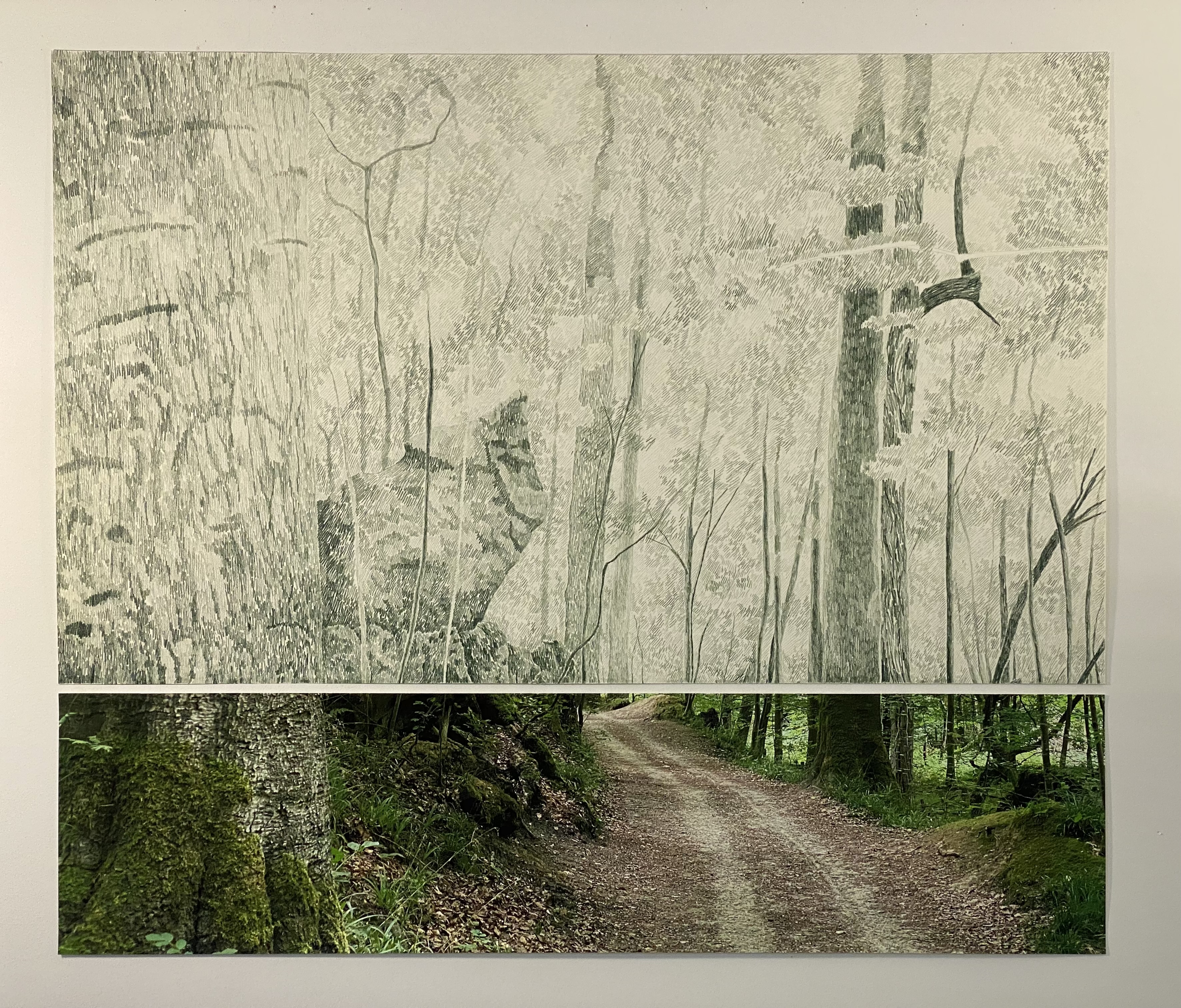 	Forêt Soignes 13.22.35, 2025

	Impressão jato de tinta sobre papel rag e lápis de cor sobre papel (Heritage Woodfree Bookwhite 315 g/m²)

	85 x 100cm