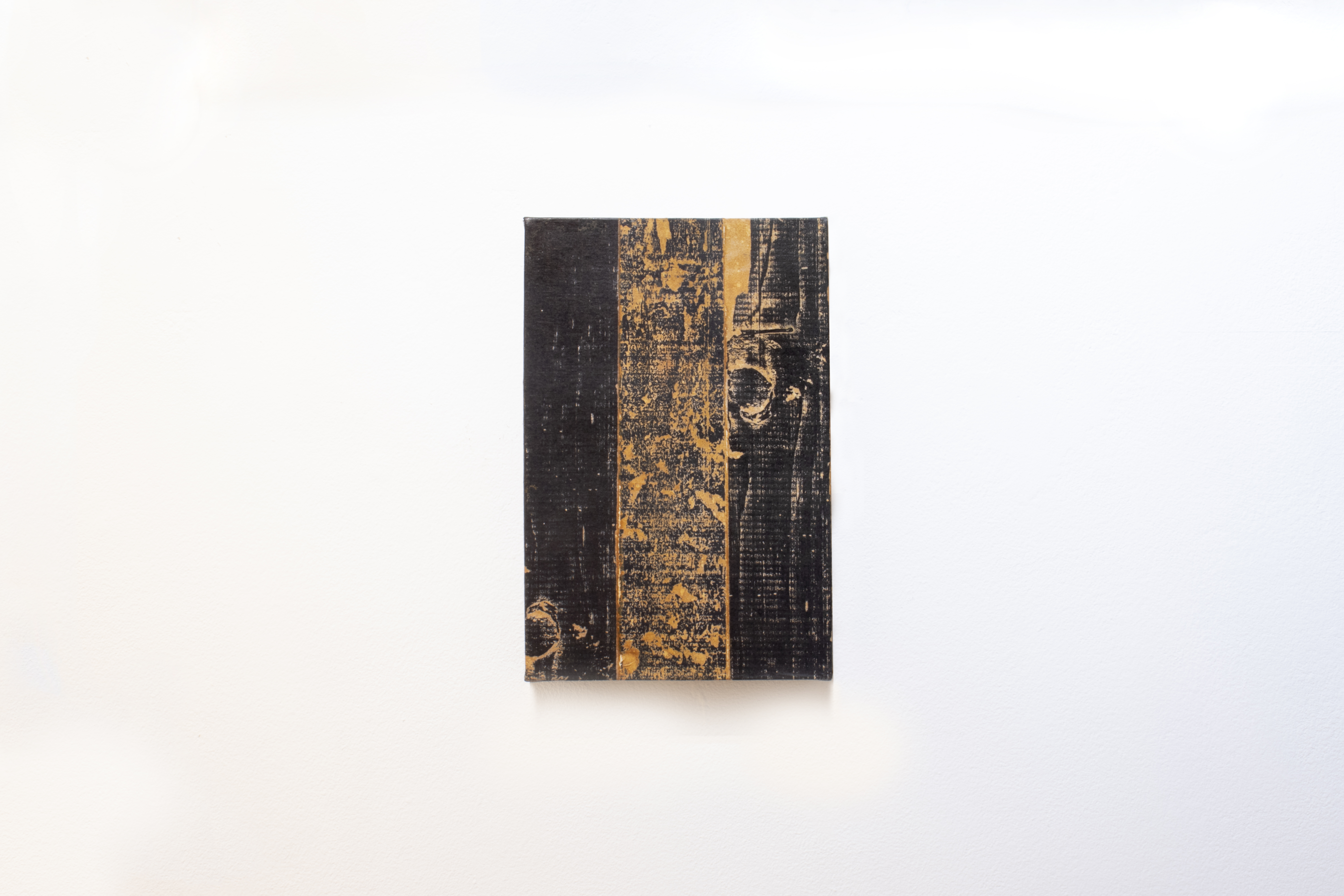 	trabalho da s&eacute;rie "Pertencimento", 2022

	t&eacute;cnica mista 30 x 20cm