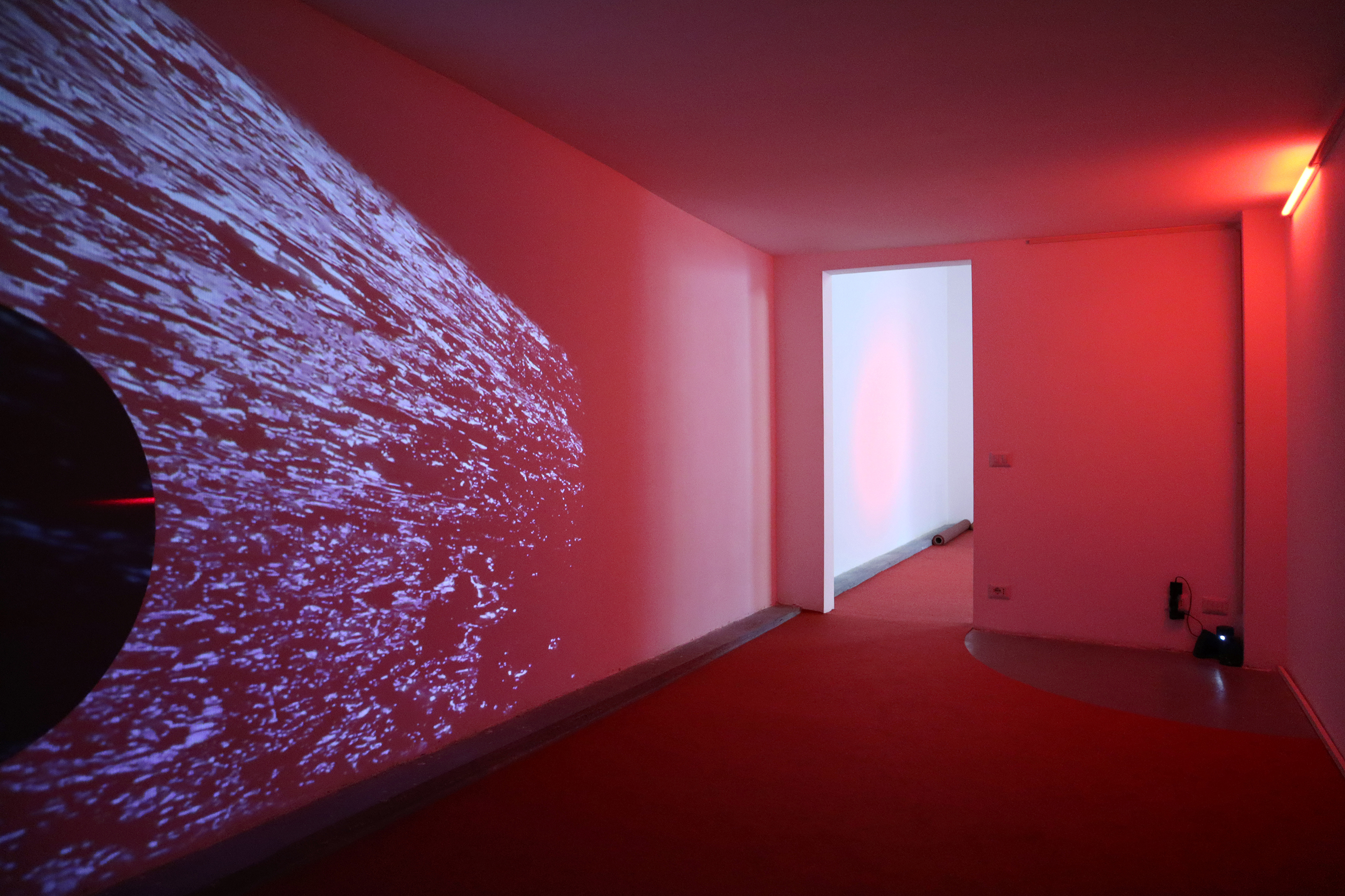 	Pedro Torres. &ldquo;Palpita&rdquo; (2026). Vista da exposi&ccedil;&atilde;o em AlbumArte, Roma. Cortesia do artista e AlbumArte. Foto: Pedro Torres.

	&nbsp;

	Palpita, 2026

	Instala&ccedil;&atilde;o com v&iacute;deo digital, som, espelho, motor, laser, trip&eacute;, carpete

	Dimens&otilde;es vari&aacute;veis