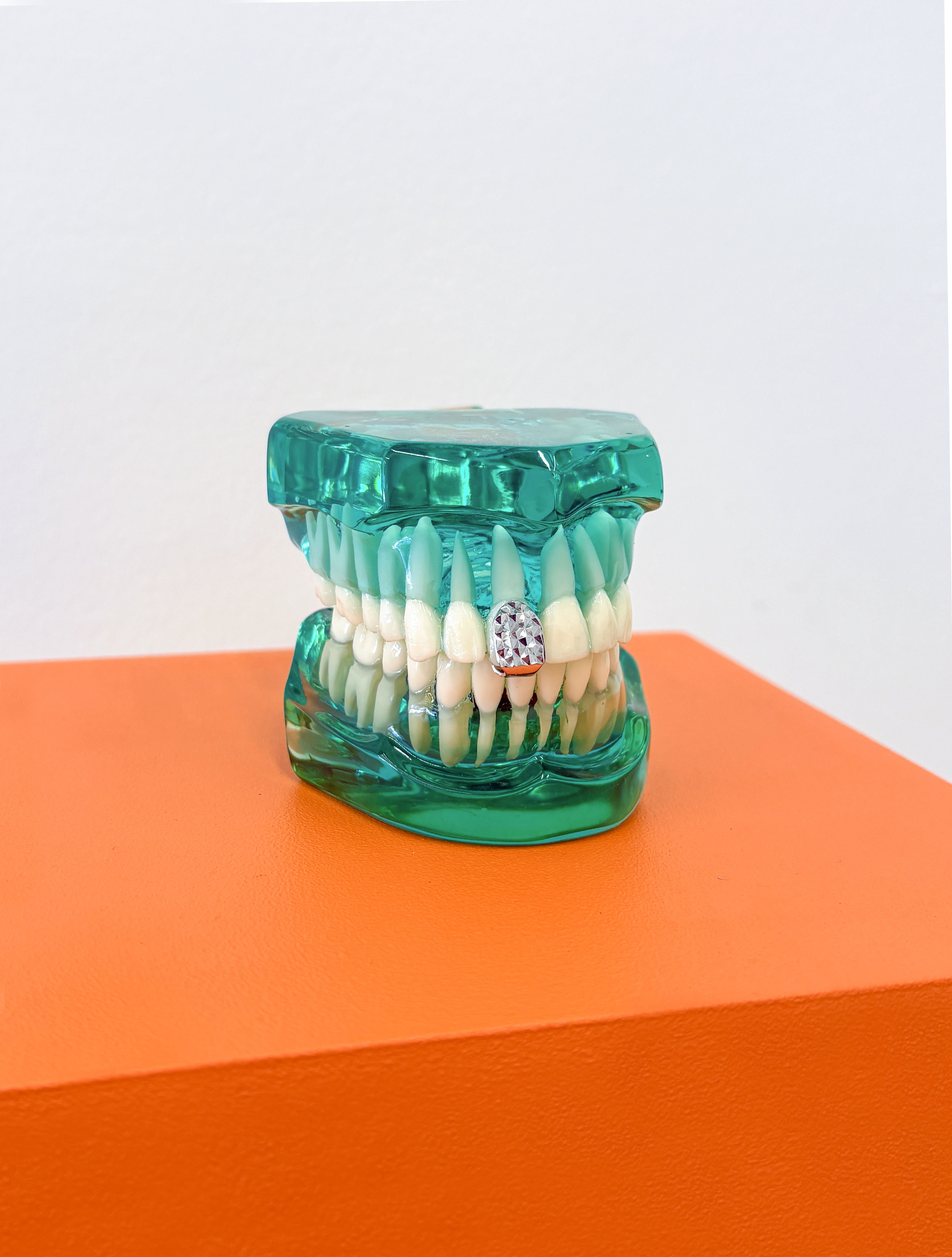 	Jewel, 2025

	Modelo odontol&oacute;gico, capa dent&aacute;ria, pedestal, MDF e tinta acr&iacute;lica

	17,8 &times; 17,8 &times; 96,5 cm