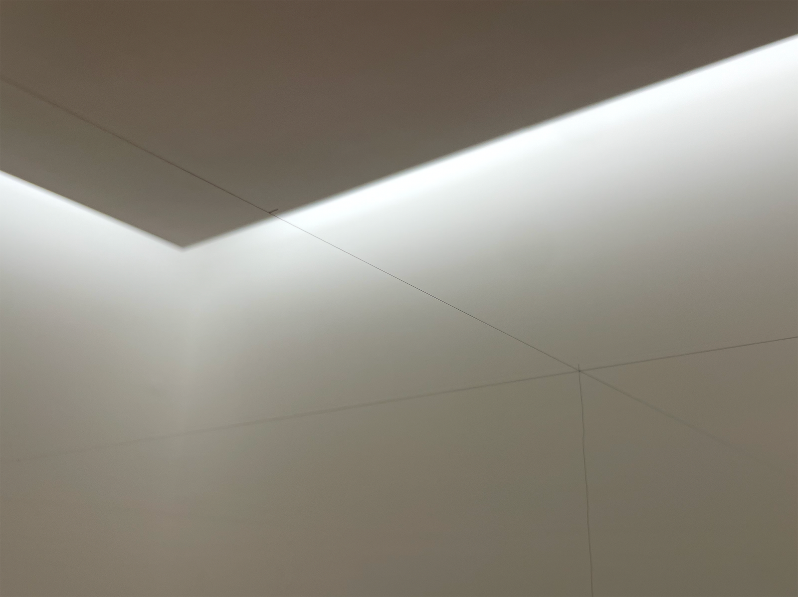 	Rectangle Disorder, 2014-26

	Instala&ccedil;&atilde;o

	Cabelo humano sint&eacute;tico e pregos

	Dimens&otilde;es vari&aacute;veis

	&nbsp;

	Rectangle Disorder &eacute; uma instala&ccedil;&atilde;o que foi mostrada pela primeira vez ocupando toda a sala principal de exposi&ccedil;&otilde;es da Funda&ccedil;&atilde;o Leal Rios. Esta &eacute; uma itera&ccedil;&atilde;o da obra Square Disorder, apresentada em 2008 na Appleton Square, que pertence &agrave; Colec&ccedil;&atilde;o Leal Rios Rios.

	&nbsp;

	Em 2014, Susana Mendes Silva e Miguel Pereira apresentaram tr&ecirc;s performances, com sonoplastia de Jari Marjam&auml;ki, que foram concebidas a partir desta obra e especialmente desenvolvidas para o espa&ccedil;o da Funda&ccedil;&atilde;o Leal Rios.

	&nbsp;

	trailer do filme:

	https://youtu.be/uwdjAG-h9E?si=leEECMoB0JZmLEVp