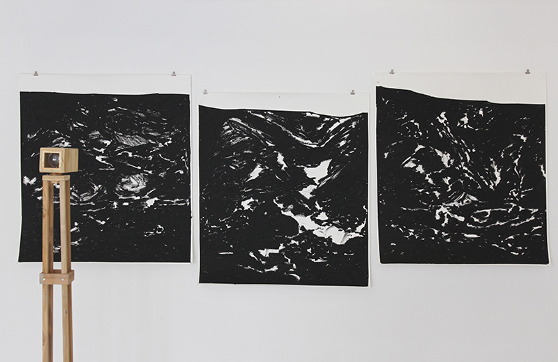 Teodolito 3 - Cratera

óleo sobre papel, objeto de

madeira, lentes de aumento

300 x 120 cm

2016