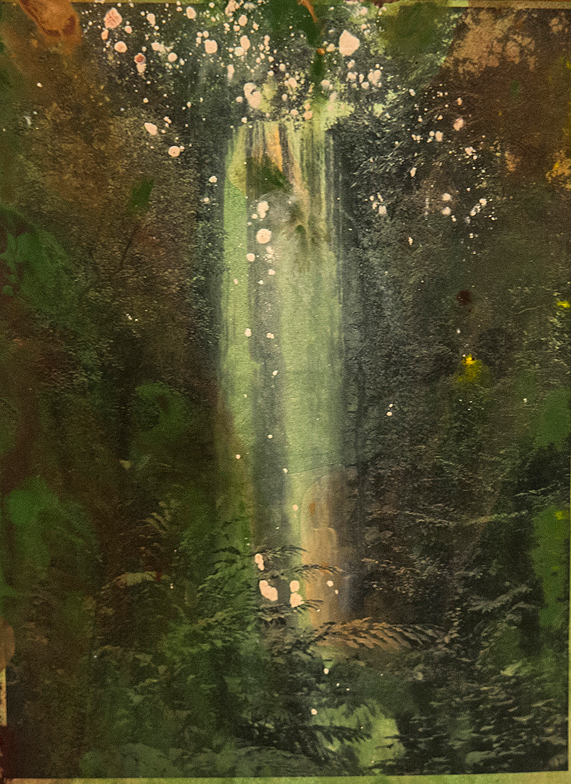 Jurong Bird Park  _  século XX _ ano 1971, 2016

fotografia PB impressa em papel algodão banhada em tinta acrílica

18 x 13 cm