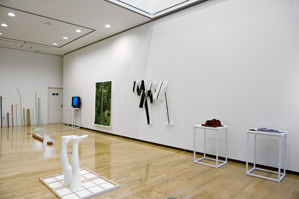 Vista geral da exposição: Ichariba Chode – Arte Contemporânea Brasileira, Plaza North Gallery, Saitama, Japão
