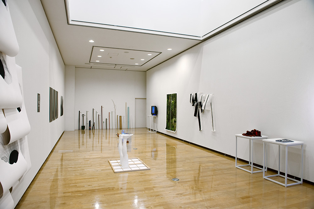 Vista geral da exposição: Ichariba Chode – Arte Contemporânea Brasileira, Plaza North Gallery, Saitama, Japão